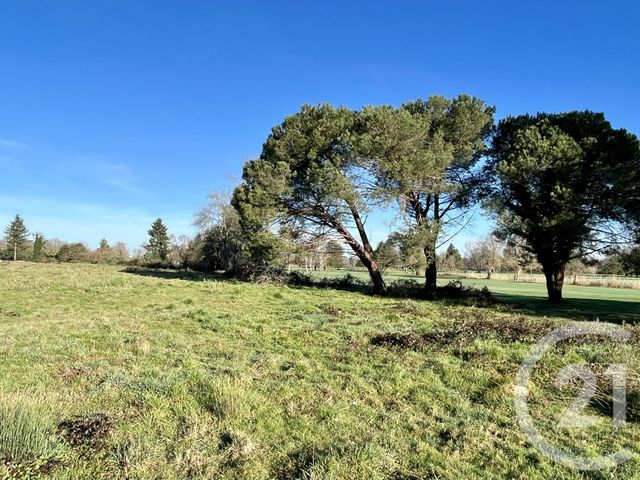 terrain à vendre - 835.0 m2 - ARTIGUELOUVE - 64 - AQUITAINE - Century 21 O.C.I. Immobilier