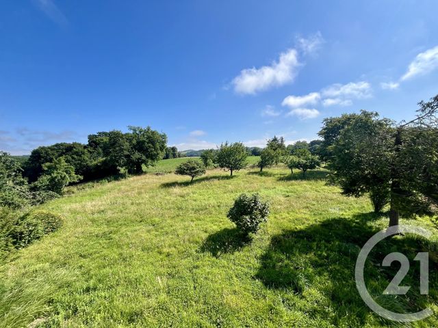 maison à vendre - 7 pièces - 213.65 m2 - GEUS D ARZACQ - 64 - AQUITAINE - Century 21 O.C.I. Immobilier