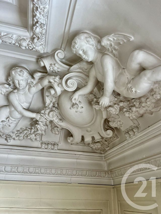 Appartement Duplex à vendre - 7 pièces - 301.0 m2 - PAU - 64 - AQUITAINE - Century 21 O.C.I. Immobilier