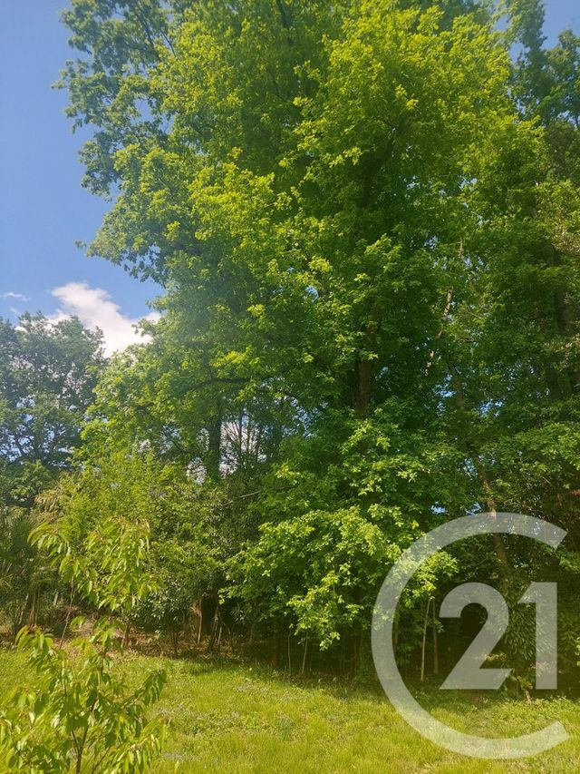 maison à vendre - 10 pièces - 280.0 m2 - BILLERE - 64 - AQUITAINE - Century 21 O.C.I. Immobilier