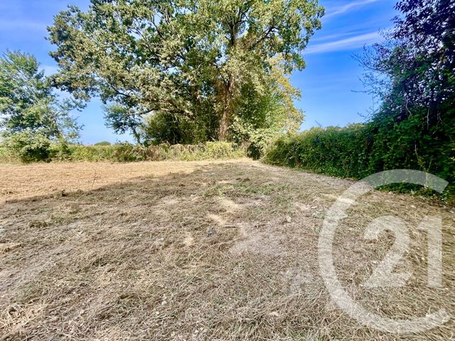 terrain à vendre - 698.0 m2 - IDRON - 64 - AQUITAINE - Century 21 O.C.I. Immobilier