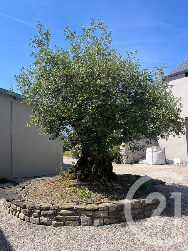 maison à vendre - 9 pièces - 221.22 m2 - BENEJACQ - 64 - AQUITAINE - Century 21 O.C.I. Immobilier